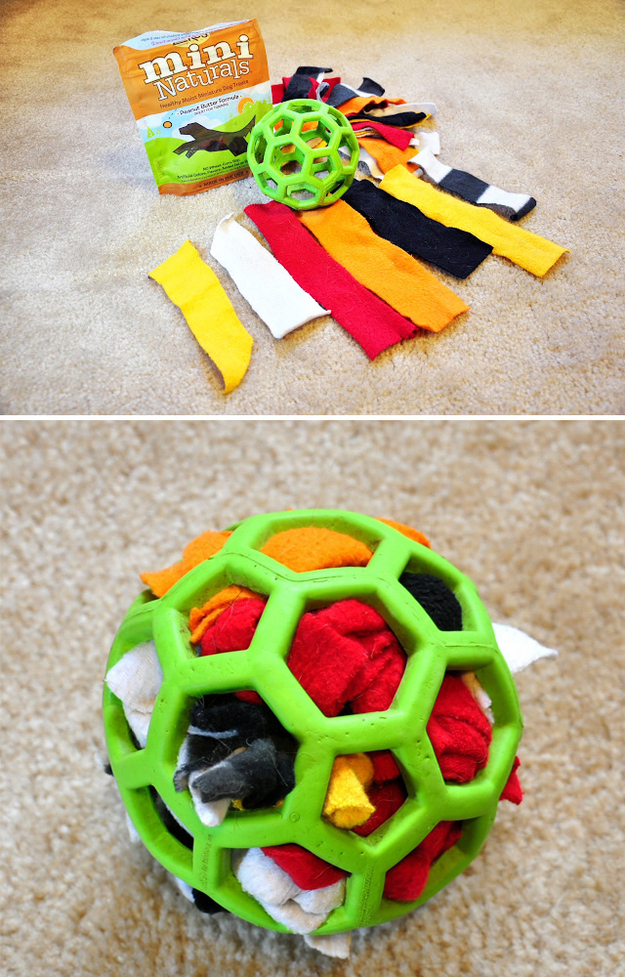 3. Don't waste money on stuffed animals. Make a durable activity ball with a Hol-ee rubber ball, scraps of fabric, and treats.