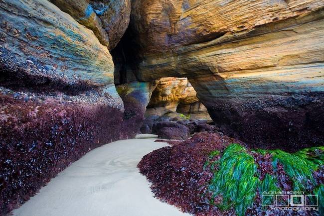 8.) The Devil's Punchbowl, Central Oregon, USA