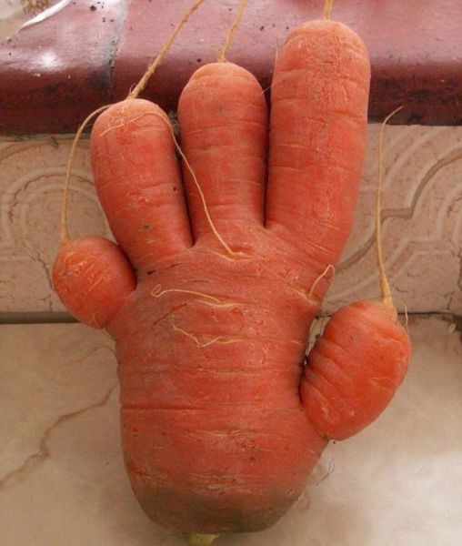 22. You've got to hand it to this carrot.