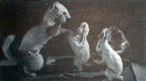 An outlaw weasel appears to be robbing a poor little bunny couple.