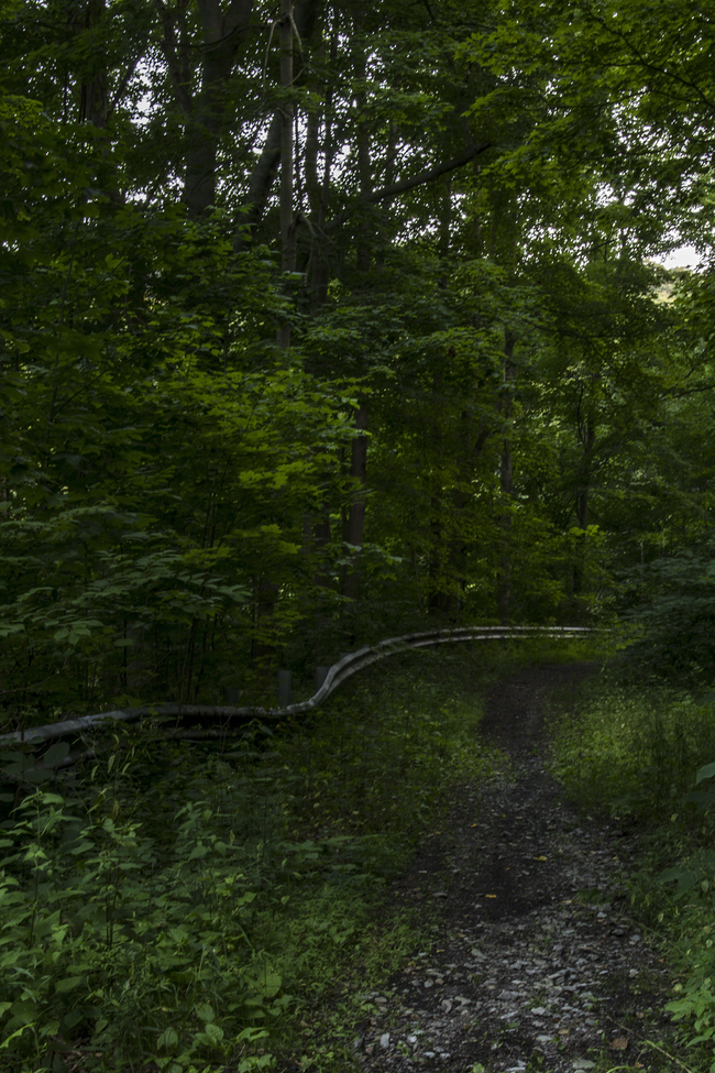 Road in rural Pennsylvania being taken over by nature.