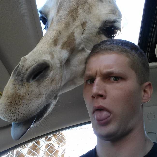 Man and Giraffe