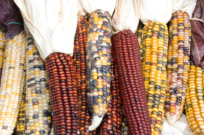 While you might see some decorative Indian corn on your dinner table, you probably won't be eating it the way they did at the first Thanksgiving. Maybe think about putting out plums and grapes like they did almost 400 years ago.