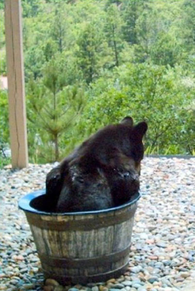 Hey, be careful! You're going to waste all of the water splashing around like that!