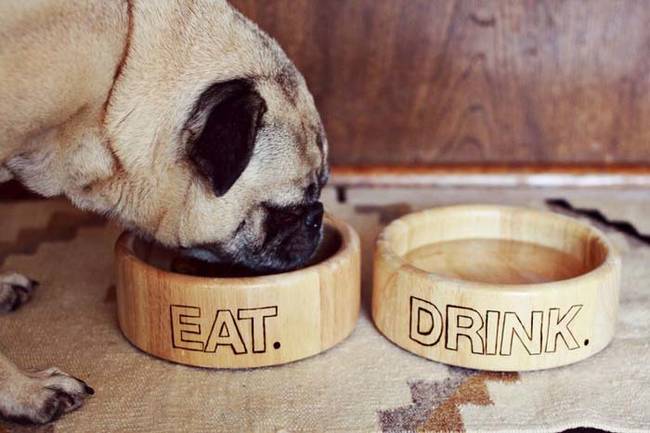 7.) These engraved wooden <a href="https://www.abeautifulmess.com/2012/07/adventures-in-wood-burning-dog-bowl-project.html" target="_blank">dog bowls</a> are stylish for your home.