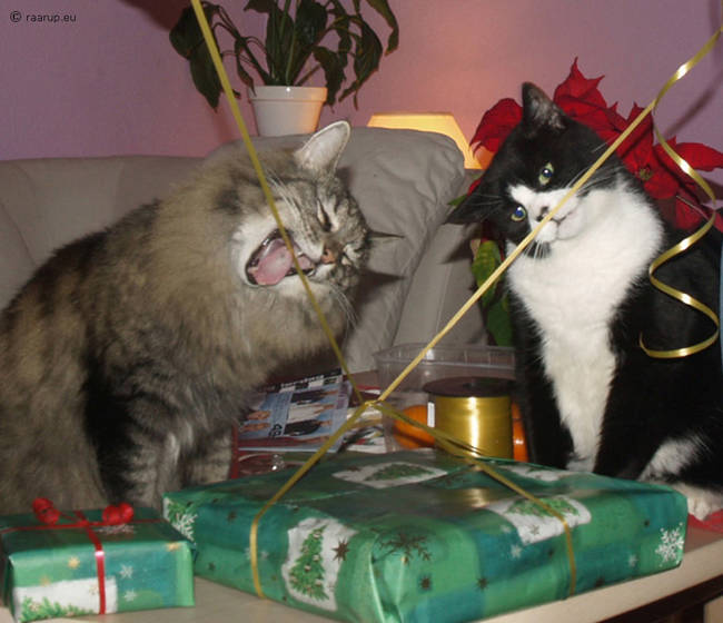 Have your friends help you tackle the difficult gift wrapping.