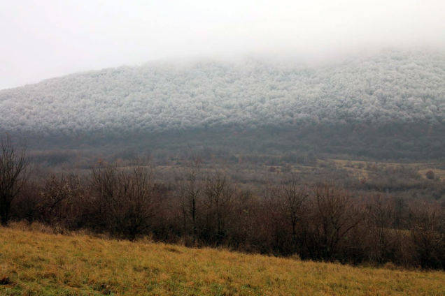 When the fog came through a hilly forest, the temperature started to drop rapidly, past the point of a normal fog.