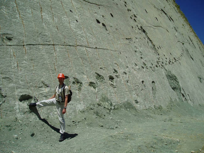 Where else can you get up close to the tracks of these beasts that once roamed the earth.