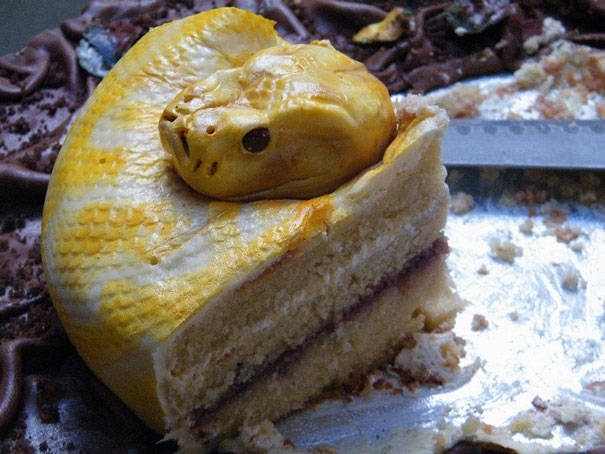 19.) Snake Cake