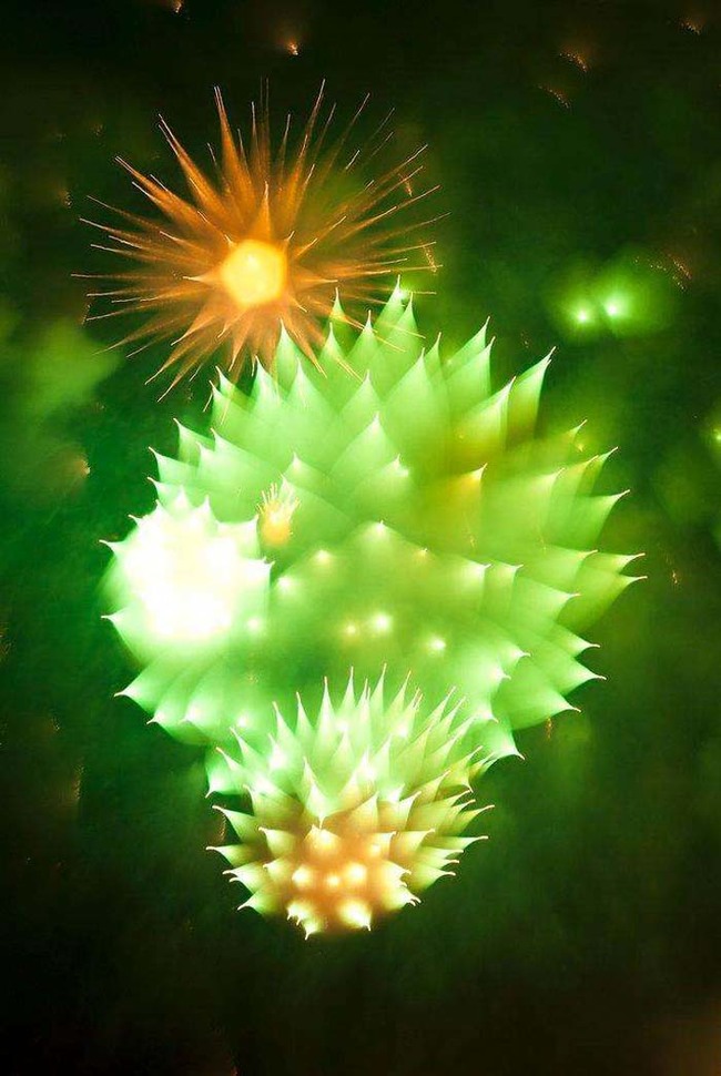 29.) A picture of fireworks, taken by a camera that refocused during the explosion.