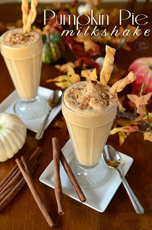 5.) <a href="https://tidymom.net/2011/pumpkin-pie-milkshake/">Pumpkin Pie Milkshake</a>