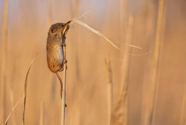 This little guy wants a better view of the beauty.