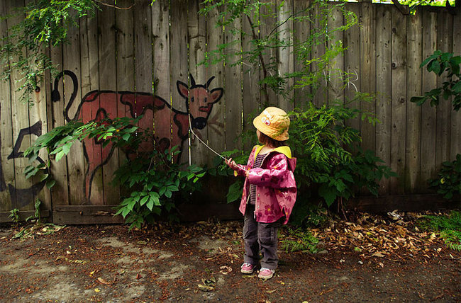 7. Just taking the ol' cow for a walk, as city folk often do.