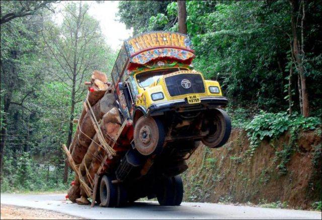 When threatened, the painted lumber bus will rear up on its hind wheels to intimidate its enemy.