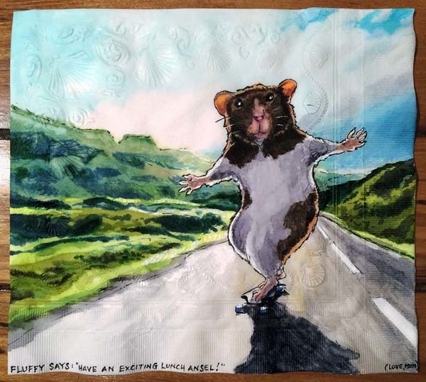 "Fluffy Longboards an Icelandic Highway"