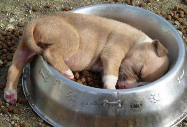 7.) Seriously, eating is exhausting.