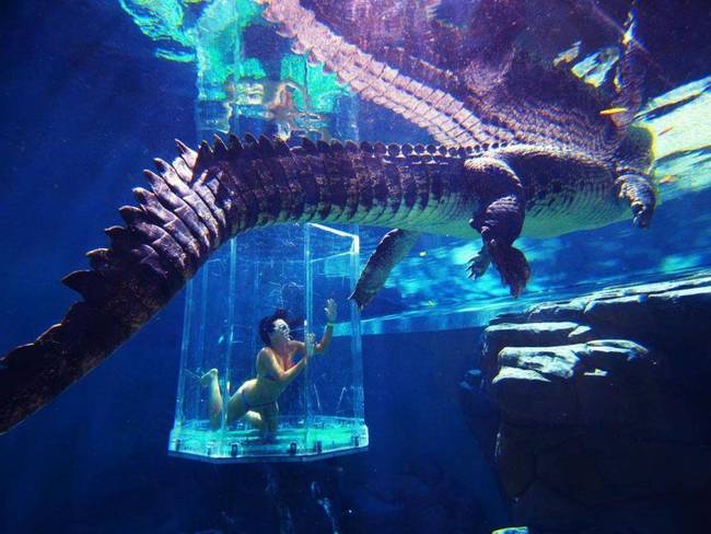 20.) Crocosaurus Cove