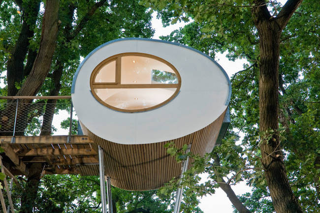 The Treehouse djuren.