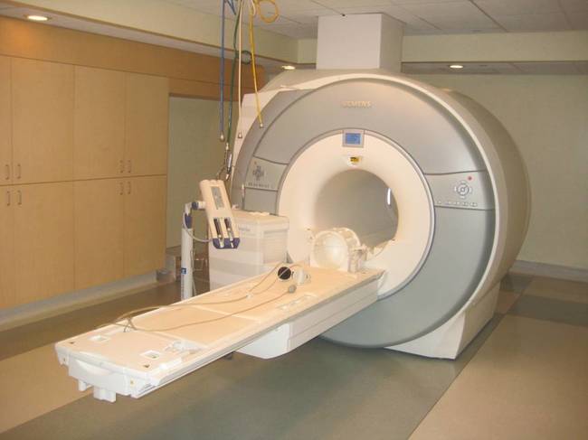 8.) If morbidly obese people are too big for conventional MRI machines, they are sent to Sea World to use their machines.