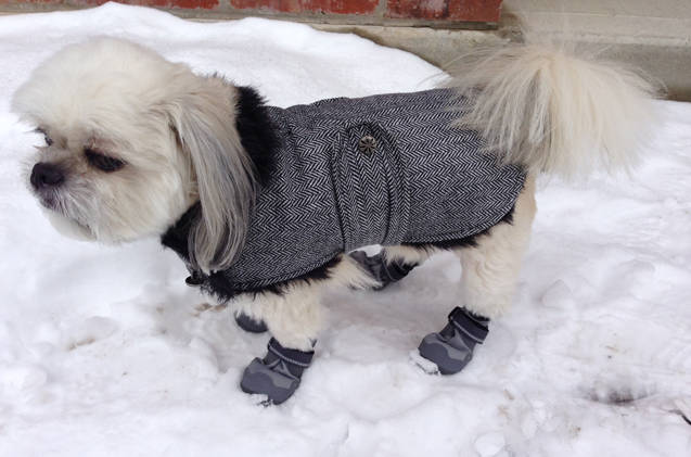 Why so sad? Those booties are awesome. Cheer up little nugget!