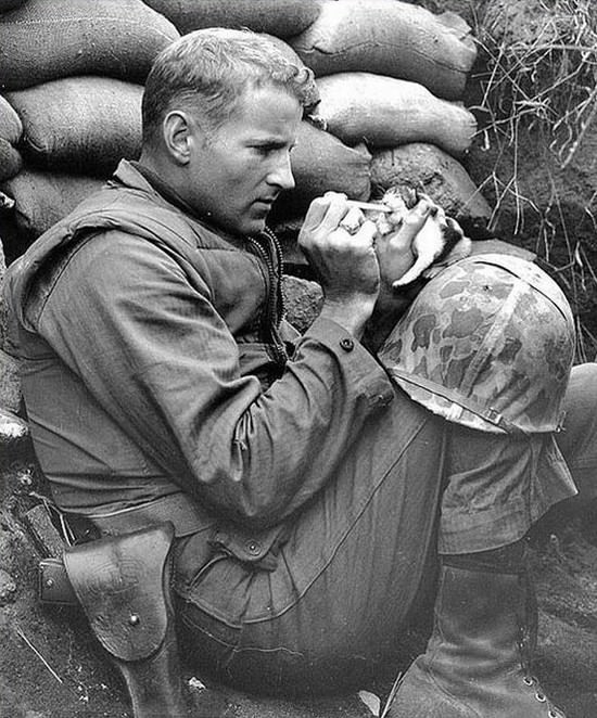 3.) Sergeant Frank Praytor looks after a kitten during the height of the Korean War in 1952.