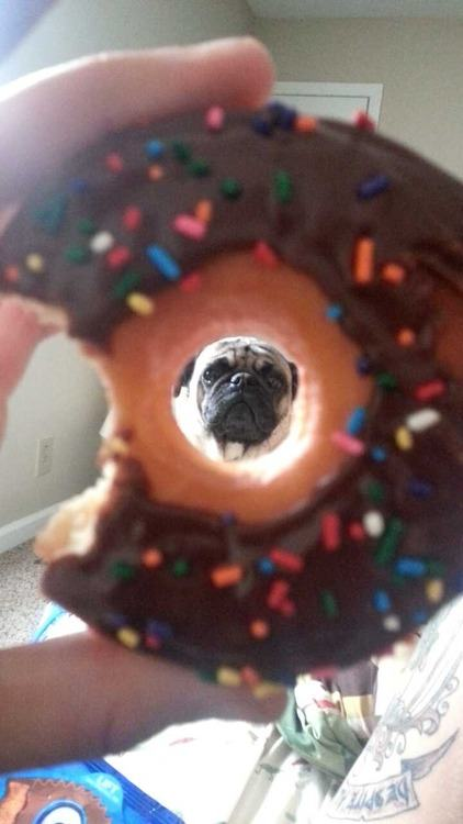 6.) "Mmmm, donuts."