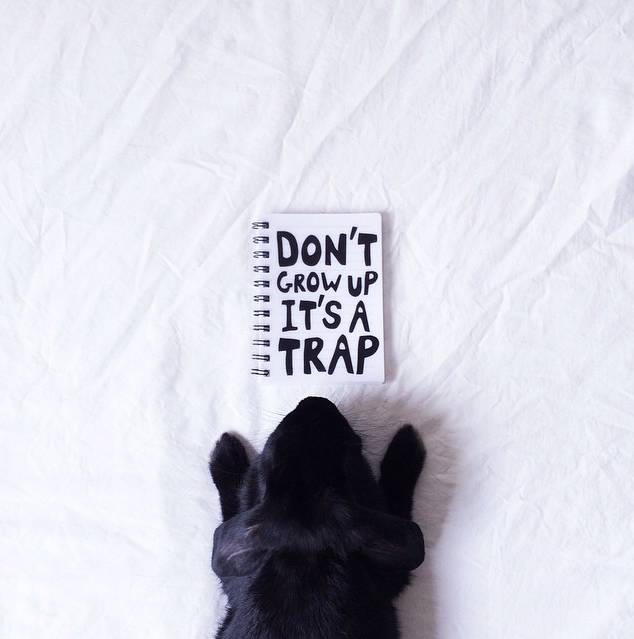 Don't Grow Up, It's A Trap