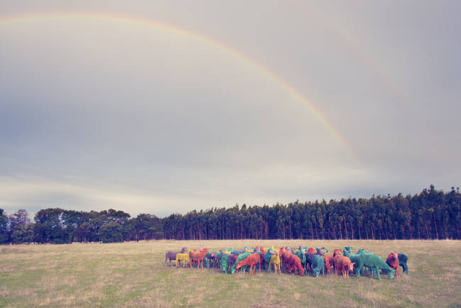 Naturally, an actual rainbow decides to get in on the fun.