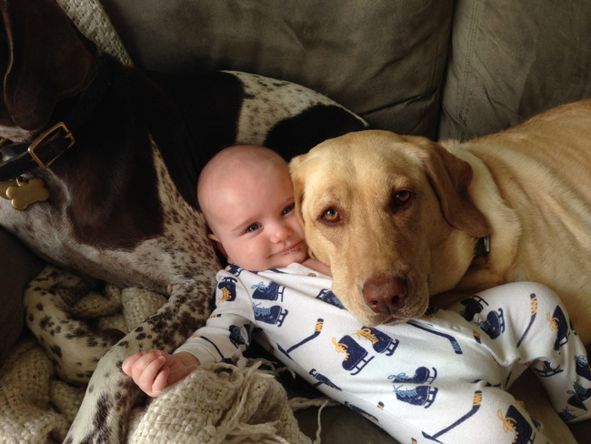 Two doggy pillows are better than one.