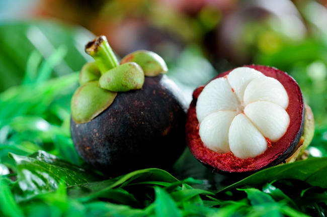 Mangosteen