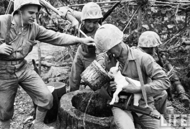 3.) Soldiers nursed a baby goat discovered in debris during the Battle of Okinawa in World War II.