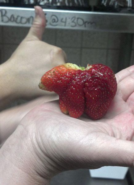 4. This strawberry really wants to be a teddy bear. He told me so.