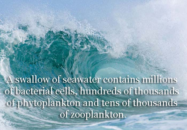 28.) Well good thing I don't make a habit of swallowing sea water.