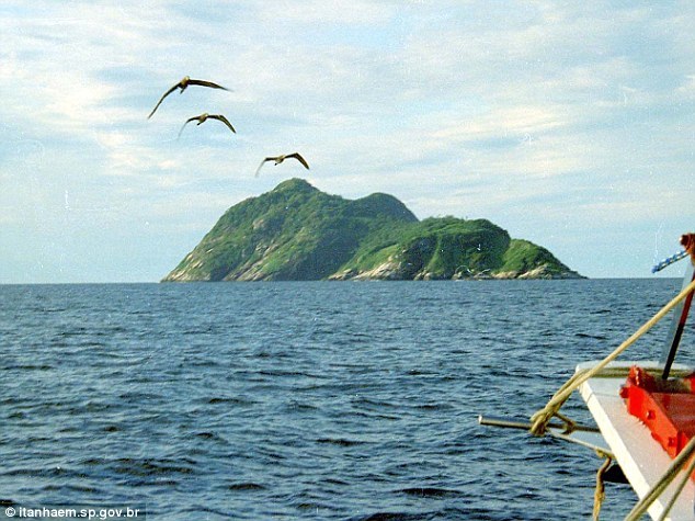 Snakes on the island have evolved to pick birds out of the sky with their venom. Stupid birds. Don't they know Brazil says the place is off limits?