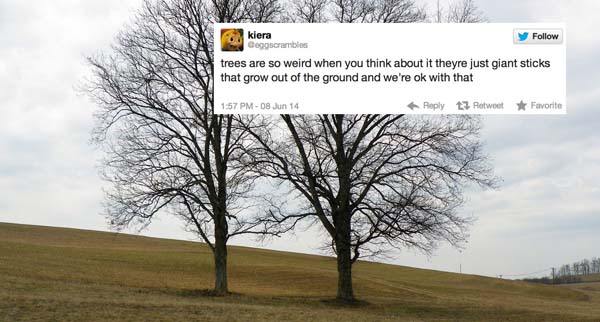 11.) Those trees? So weird.