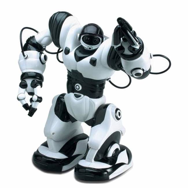 2004 - Robosapien