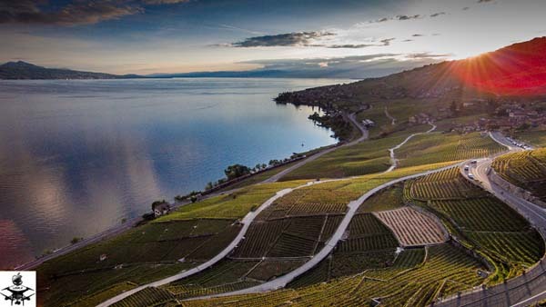 27.) This is what the perfect countryside looks like (Le Lavaux, Switzerland).