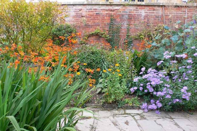 Supercharge your garden with a coffee ground fertilizer mist.