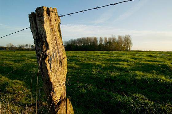 The cratered ground from the many battles that took place in Ypres throughout World War I.