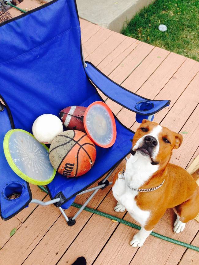 "These are my toys, and I'm going to keep them here. You need to sit? There's a whole lawn for that."