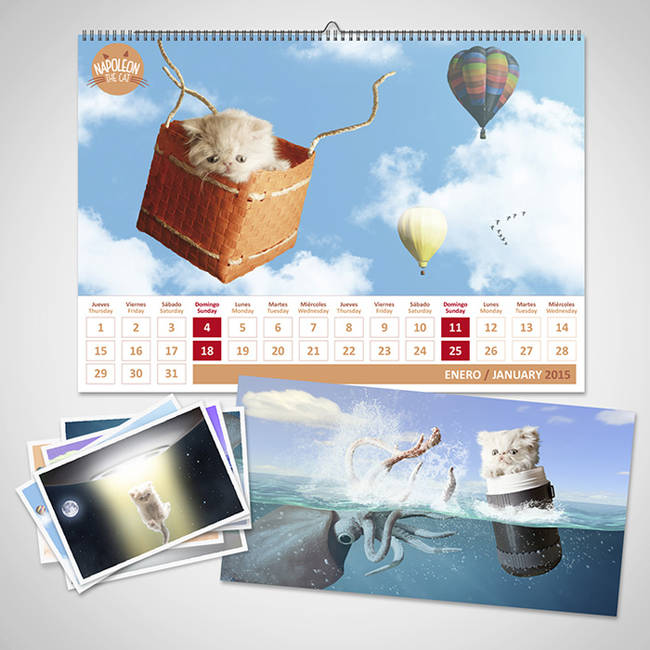 Segura hopes to raise enough funds through his <a href="https://www.indiegogo.com/projects/napoleon-the-cat--2" target="_blank">Indiegogo</a> project to share the adorableness with this Napoleon calendar.