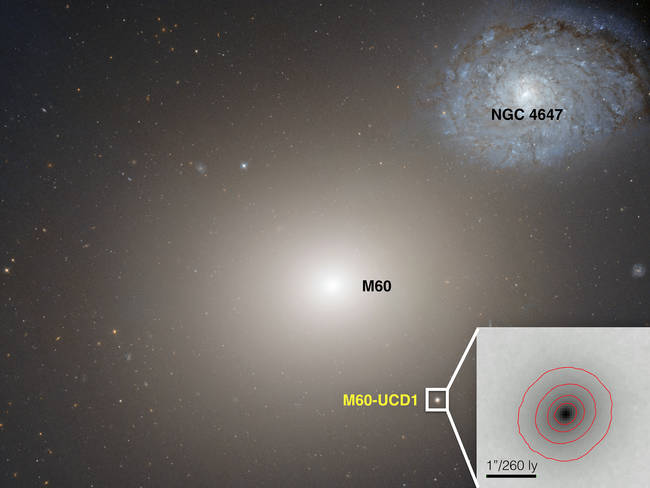 A Black Hole That's Too Big For its Galaxy