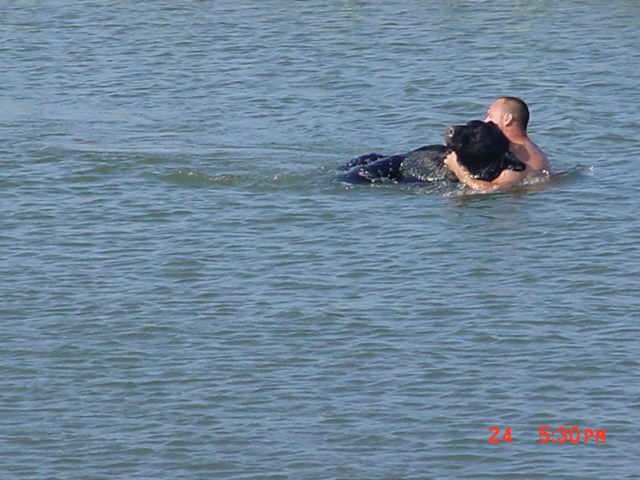 Staying calm, the biologist grabbed the bear around the neck and brought him towards the shore.