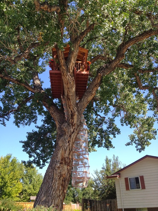 As the finishing touch, he installed a net around the ladder, for an added layer of safety.