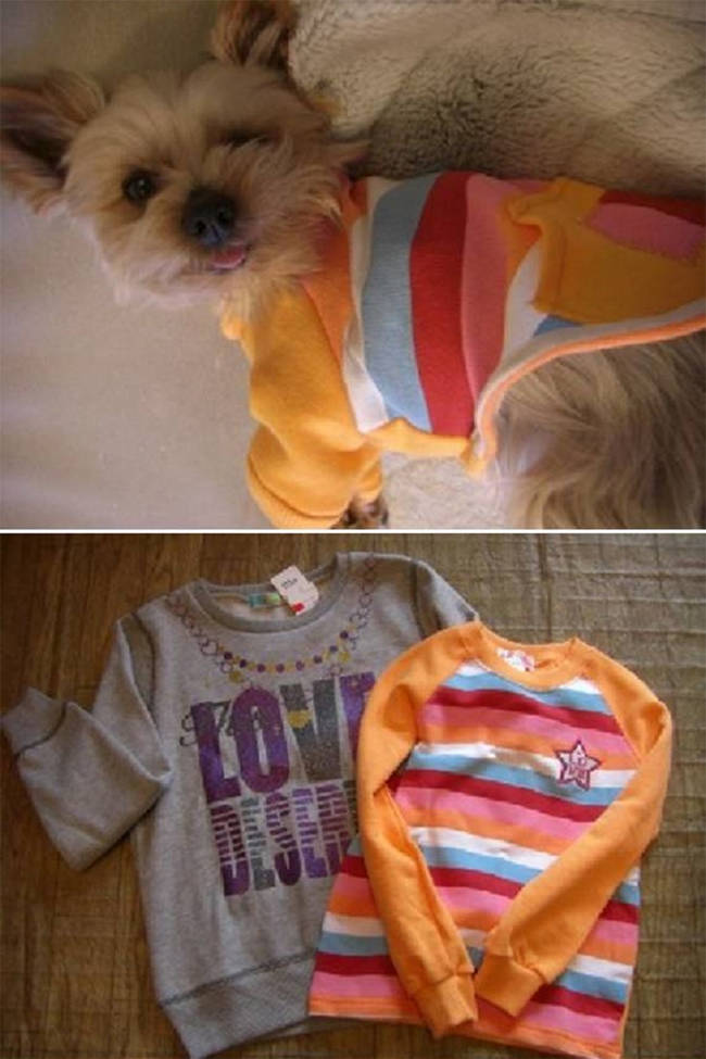 18.) Turn old kids clothes into an <a href="https://www.topinspired.com/top-10-cute-diy-pet-clothes/" target="_blank">outfit for your dog</a>.