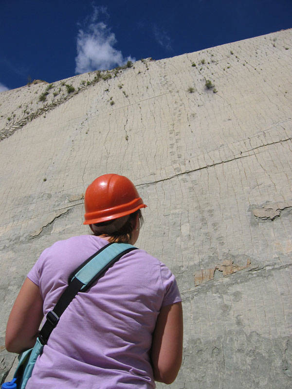 The El Molino Dinosaur Wall.