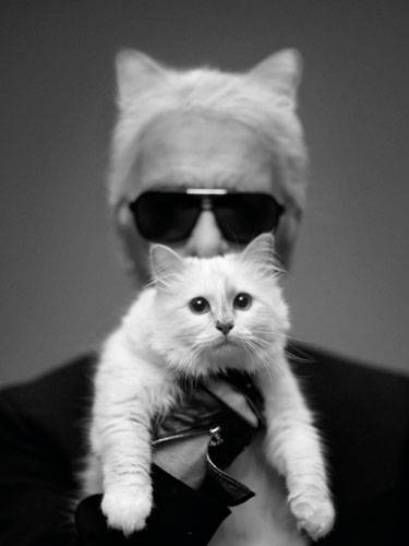 Karl Lagerfeld's cat, Choupette