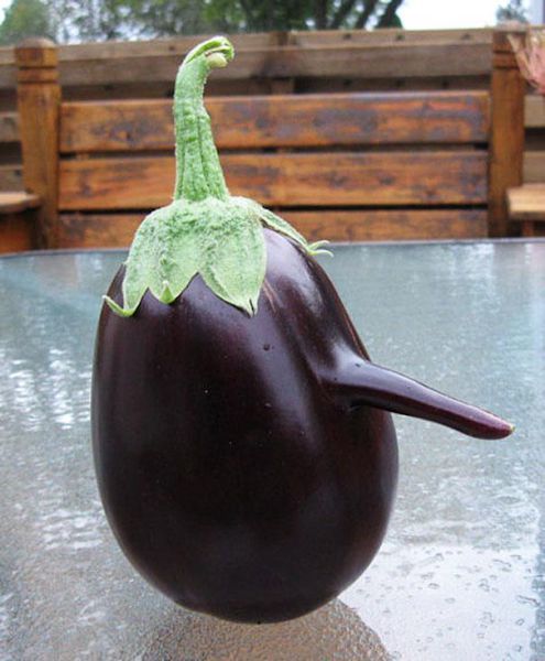 11. Pinocchio's got nothing on this eggplant.