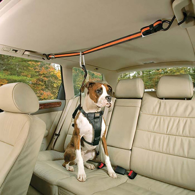 <a href="https://www.awesomeinventions.com/shop/pet-safety-harness/" target="_blank">Pet Safety Harness</a>