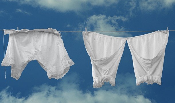 22. In San Francisco it is illegal to dry your car with used underwear.